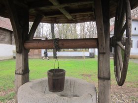 IMG_2178