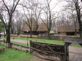 IMG_2176