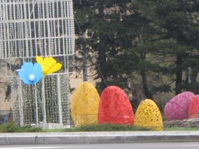 IMG_2214