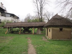 IMG_2195
